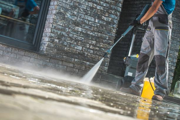 Best House Exterior Washing  in Ivanhoe, TX